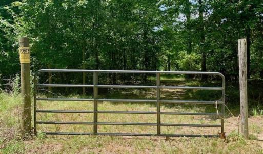 Photo of SOLD!!  13.38 Acres of Riverfront Timber and Hunting Land For Sale in Wayne County NC!