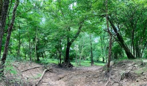 Photo of SOLD!!  13.38 Acres of Riverfront Timber and Hunting Land For Sale in Wayne County NC!