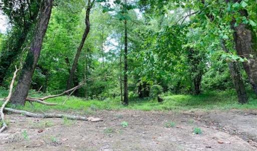 Photo of SOLD!!  13.38 Acres of Riverfront Timber and Hunting Land For Sale in Wayne County NC!