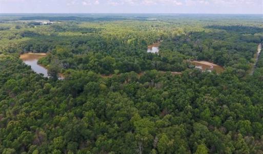 Photo of SOLD!!  13.38 Acres of Riverfront Timber and Hunting Land For Sale in Wayne County NC!