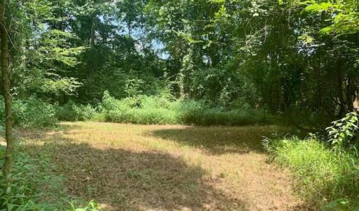 Photo of SOLD!!  13.38 Acres of Riverfront Timber and Hunting Land For Sale in Wayne County NC!