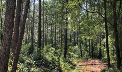 Photo of REDUCED!! 53 Acres of  Development and Timber Land For Sale in Chatham County, NC!