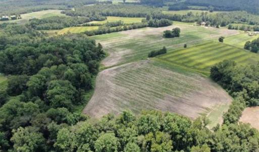 Photo of SOLD!!  38 Acres of Farm and Hunting Land For Sale in Robeson County NC!