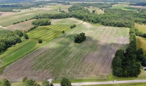 Photo of SOLD!!  38 Acres of Farm and Hunting Land For Sale in Robeson County NC!