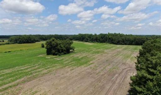 Photo of SOLD!!  38 Acres of Farm and Hunting Land For Sale in Robeson County NC!