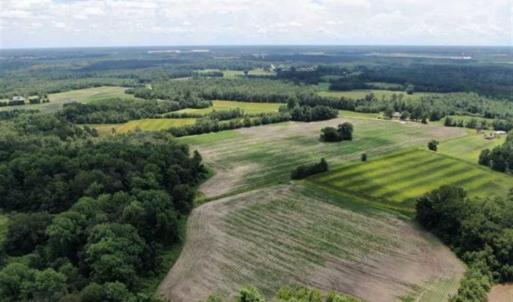 Photo of SOLD!!  38 Acres of Farm and Hunting Land For Sale in Robeson County NC!