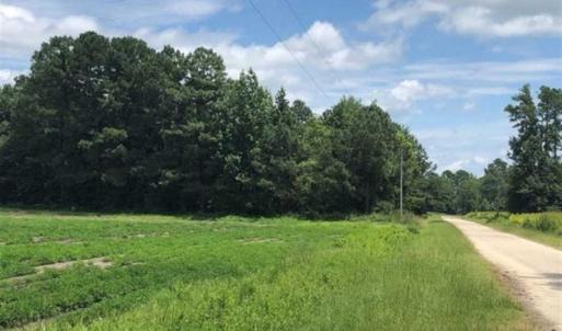 Photo of SOLD!!  38 Acres of Farm and Hunting Land For Sale in Robeson County NC!
