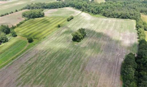 Photo of SOLD!!  38 Acres of Farm and Hunting Land For Sale in Robeson County NC!