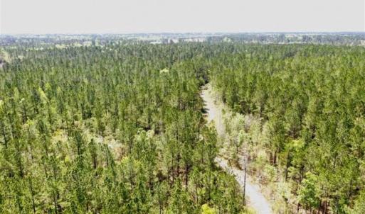 Photo of SOLD!!  138.71 Ac of Hunting and Timber Land For Sale in Brunswick County NC!