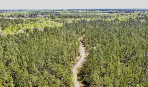 Photo of SOLD!!  138.71 Ac of Hunting and Timber Land For Sale in Brunswick County NC!