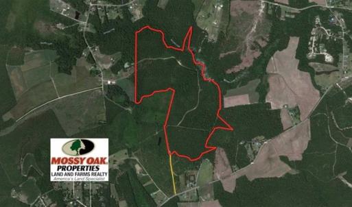 Photo of SOLD!!  138.71 Ac of Hunting and Timber Land For Sale in Brunswick County NC!