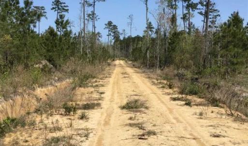 Photo of SOLD!!  138.71 Ac of Hunting and Timber Land For Sale in Brunswick County NC!