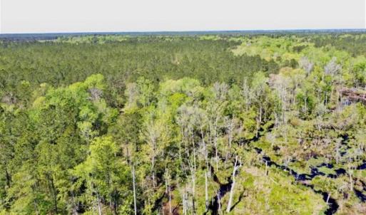 Photo of SOLD!!  138.71 Ac of Hunting and Timber Land For Sale in Brunswick County NC!