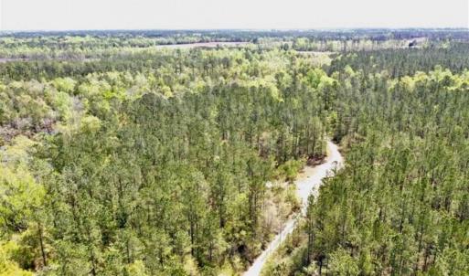 Photo of SOLD!!  138.71 Ac of Hunting and Timber Land For Sale in Brunswick County NC!