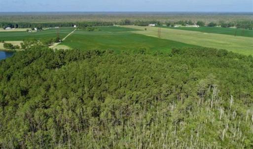 Photo of UNDER CONTRACT!!  66 Acres of Waterfront Farm and Development Land in Currituck County NC!