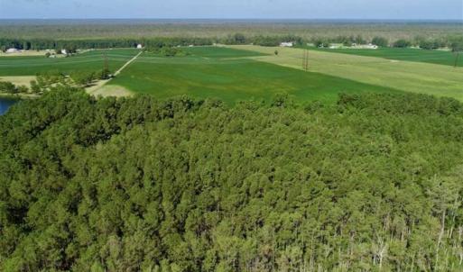 Photo of UNDER CONTRACT!!  66 Acres of Waterfront Farm and Development Land in Currituck County NC!
