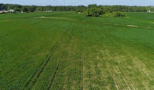 Photo of UNDER CONTRACT!!  66 Acres of Waterfront Farm and Development Land in Currituck County NC!