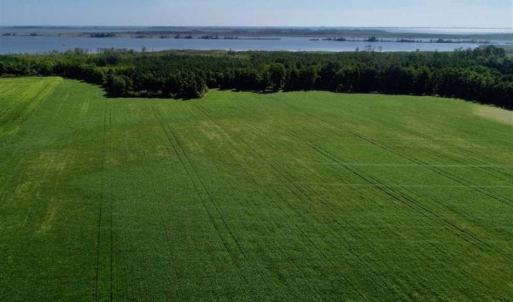 Photo of UNDER CONTRACT!!  66 Acres of Waterfront Farm and Development Land in Currituck County NC!
