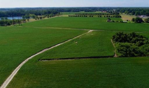 Photo of UNDER CONTRACT!!  66 Acres of Waterfront Farm and Development Land in Currituck County NC!