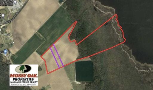 Photo of UNDER CONTRACT!!  66 Acres of Waterfront Farm and Development Land in Currituck County NC!