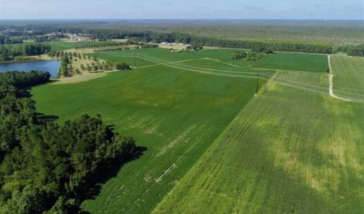 Photo of UNDER CONTRACT!!  66 Acres of Waterfront Farm and Development Land in Currituck County NC!