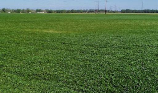 Photo of UNDER CONTRACT!!  66 Acres of Waterfront Farm and Development Land in Currituck County NC!