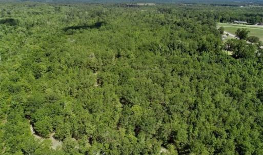 Photo of SOLD!!  36.5 Acres of Riverfront Hunting Land in Craven County NC!