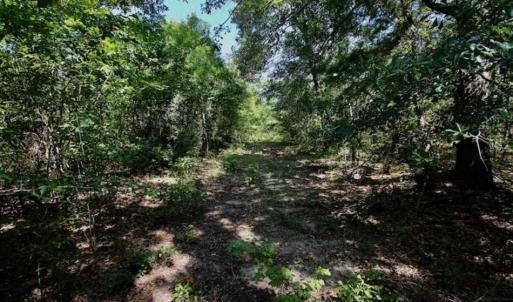Photo of SOLD!!  36.5 Acres of Riverfront Hunting Land in Craven County NC!