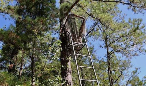 Photo of SOLD!!  36.5 Acres of Riverfront Hunting Land in Craven County NC!