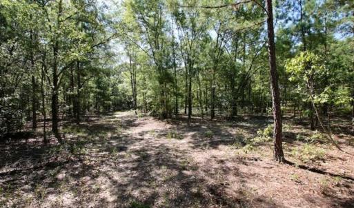 Photo of SOLD!!  36.5 Acres of Riverfront Hunting Land in Craven County NC!