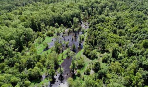 Photo of SOLD!!  36.5 Acres of Riverfront Hunting Land in Craven County NC!