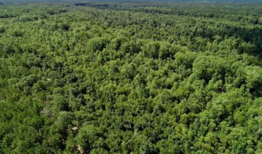 Photo of SOLD!!  36.5 Acres of Riverfront Hunting Land in Craven County NC!