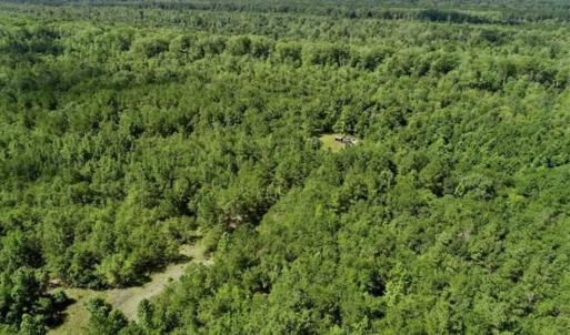 Photo of SOLD!!  36.5 Acres of Riverfront Hunting Land in Craven County NC!