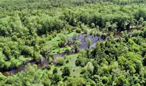 Photo of SOLD!!  36.5 Acres of Riverfront Hunting Land in Craven County NC!