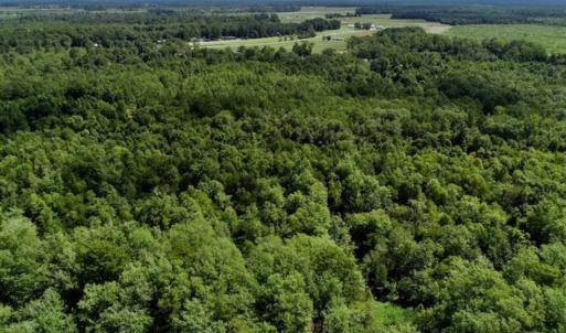 Photo of SOLD!!  36.5 Acres of Riverfront Hunting Land in Craven County NC!