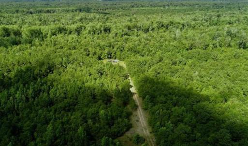 Photo of SOLD!!  36.5 Acres of Riverfront Hunting Land in Craven County NC!