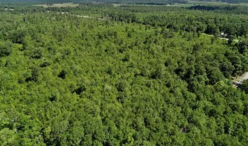 Photo of SOLD!!  36.5 Acres of Riverfront Hunting Land in Craven County NC!