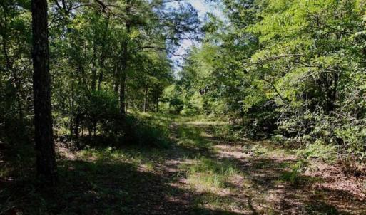 Photo of SOLD!!  36.5 Acres of Riverfront Hunting Land in Craven County NC!