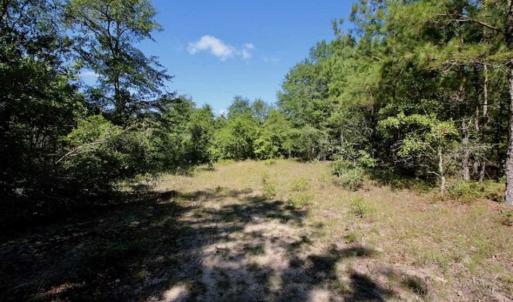Photo of SOLD!!  36.5 Acres of Riverfront Hunting Land in Craven County NC!