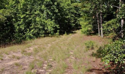 Photo of SOLD!!  36.5 Acres of Riverfront Hunting Land in Craven County NC!