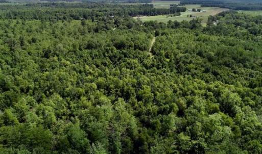 Photo of SOLD!!  36.5 Acres of Riverfront Hunting Land in Craven County NC!