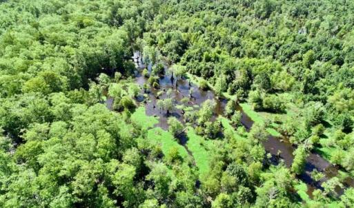 Photo of SOLD!!  36.5 Acres of Riverfront Hunting Land in Craven County NC!