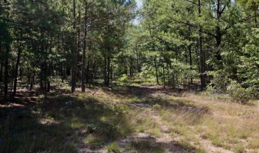 Photo of SOLD!!  36.5 Acres of Riverfront Hunting Land in Craven County NC!