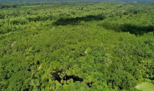 Photo of SOLD!!  36.5 Acres of Riverfront Hunting Land in Craven County NC!