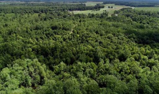 Photo of SOLD!!  36.5 Acres of Riverfront Hunting Land in Craven County NC!