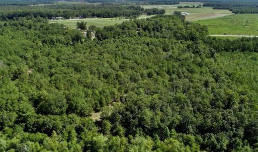 Photo of SOLD!!  36.5 Acres of Riverfront Hunting Land in Craven County NC!