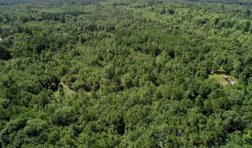 Photo of SOLD!!  36.5 Acres of Riverfront Hunting Land in Craven County NC!