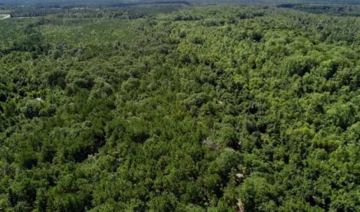 Photo of SOLD!!  36.5 Acres of Riverfront Hunting Land in Craven County NC!