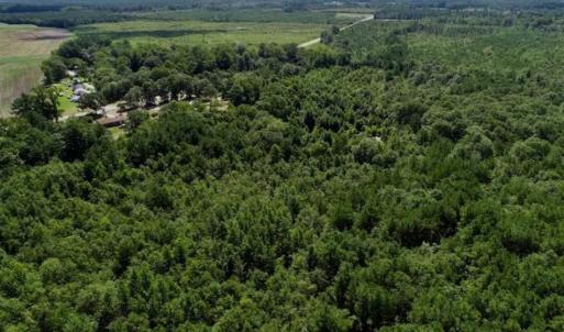 Photo of SOLD!!  36.5 Acres of Riverfront Hunting Land in Craven County NC!