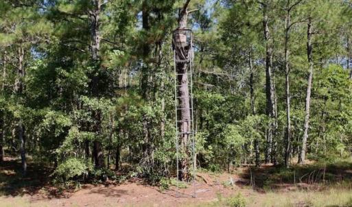 Photo of SOLD!!  36.5 Acres of Riverfront Hunting Land in Craven County NC!